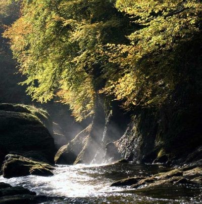 The river Esk runs through Rosslyn Glen