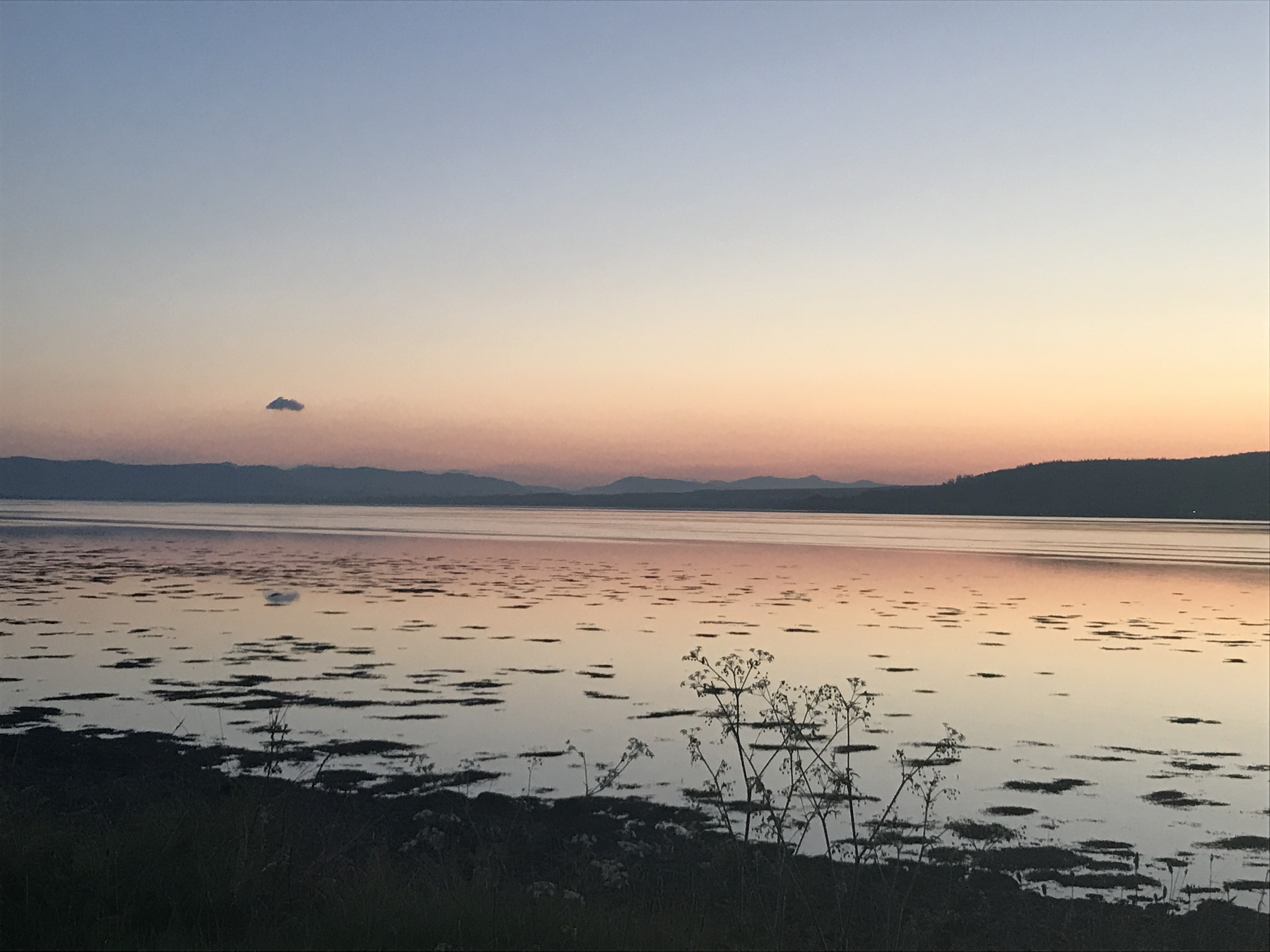 Fraser country up close